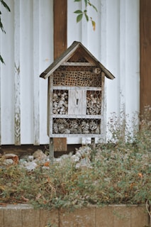 A wooden insect hotel with a rustic design is positioned against a white plank wall. The structure includes various natural materials like pinecones, hollow logs, and twigs, providing shelter for insects. It is surrounded by overgrown grass and plants, adding to the natural setting.