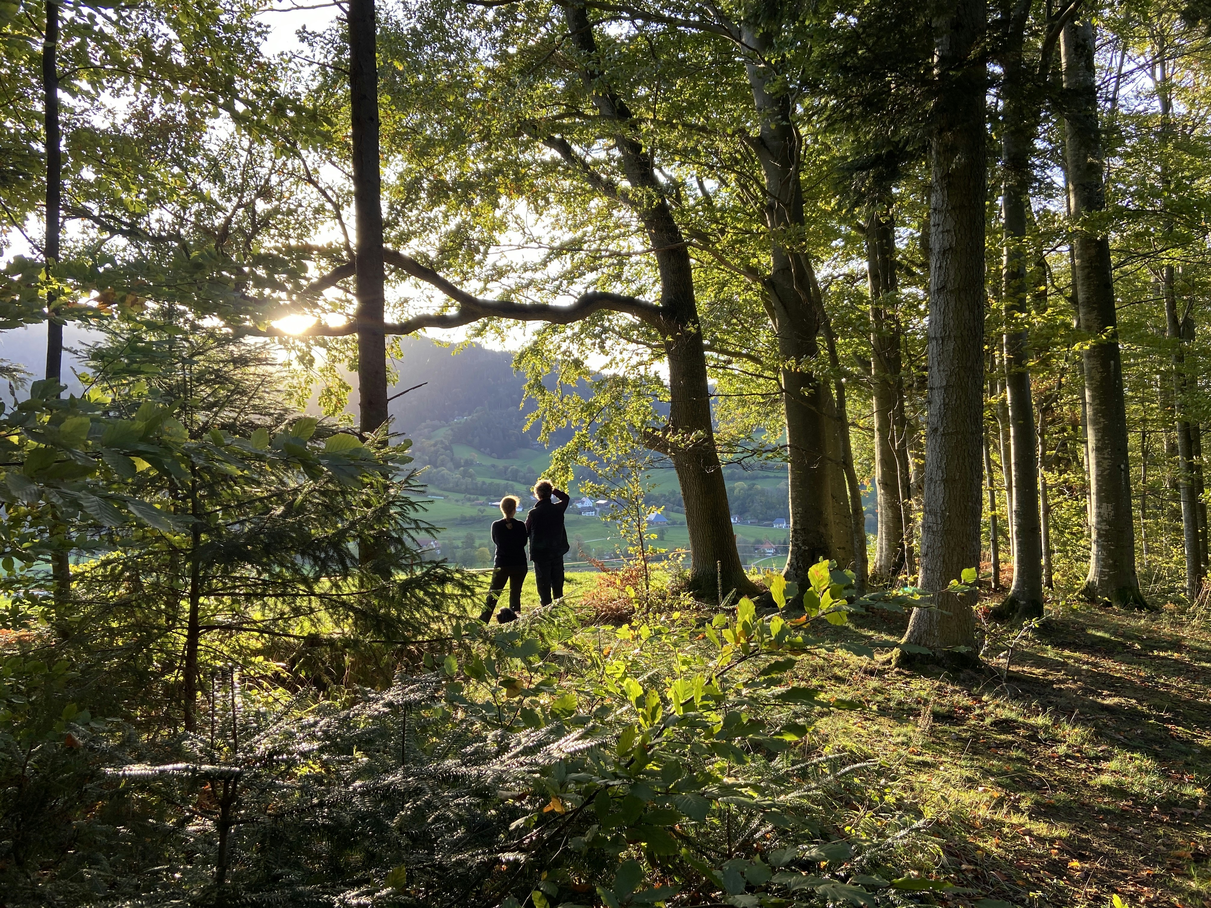 Photo by wanderklaus23