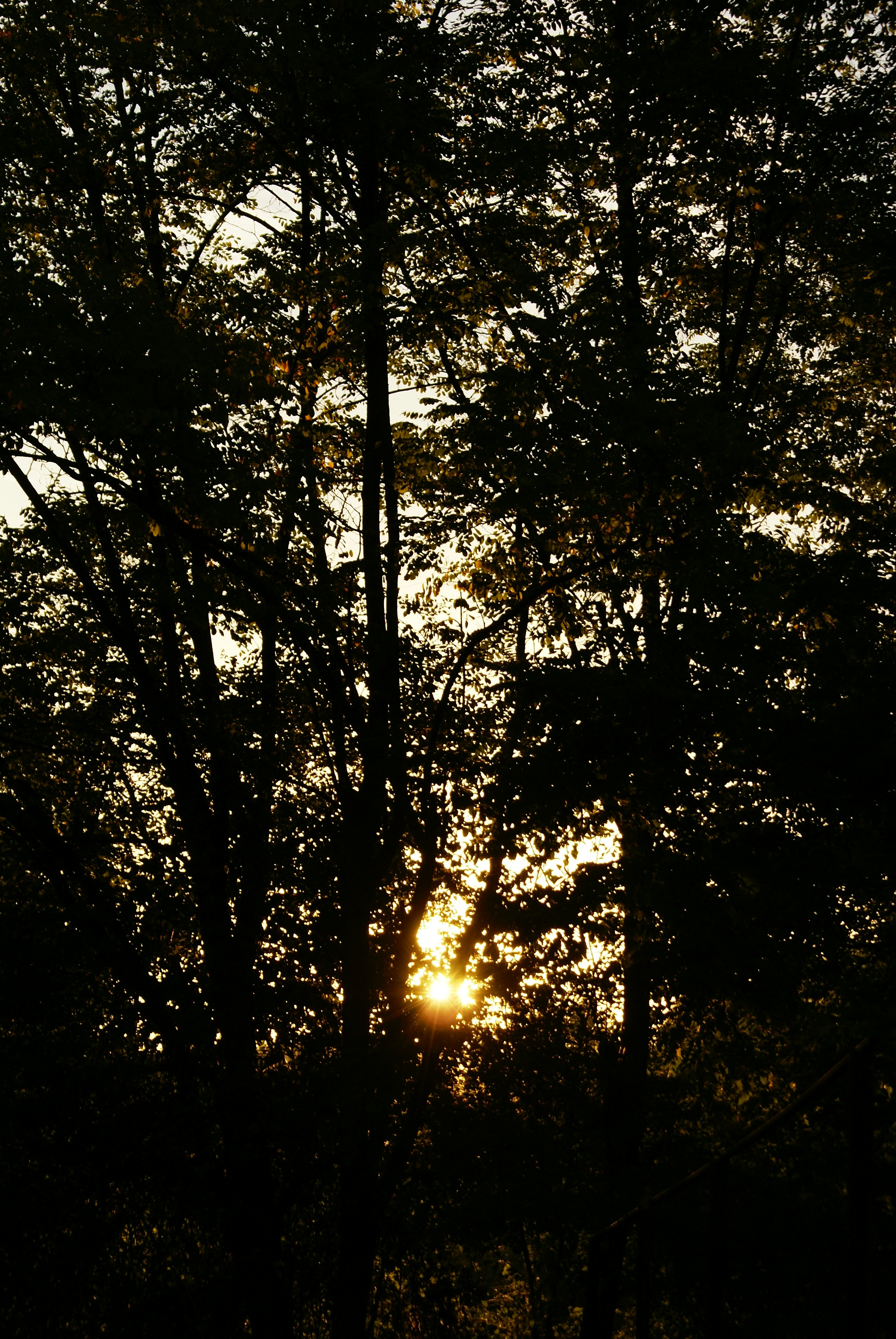 Photo by anamariavisuals