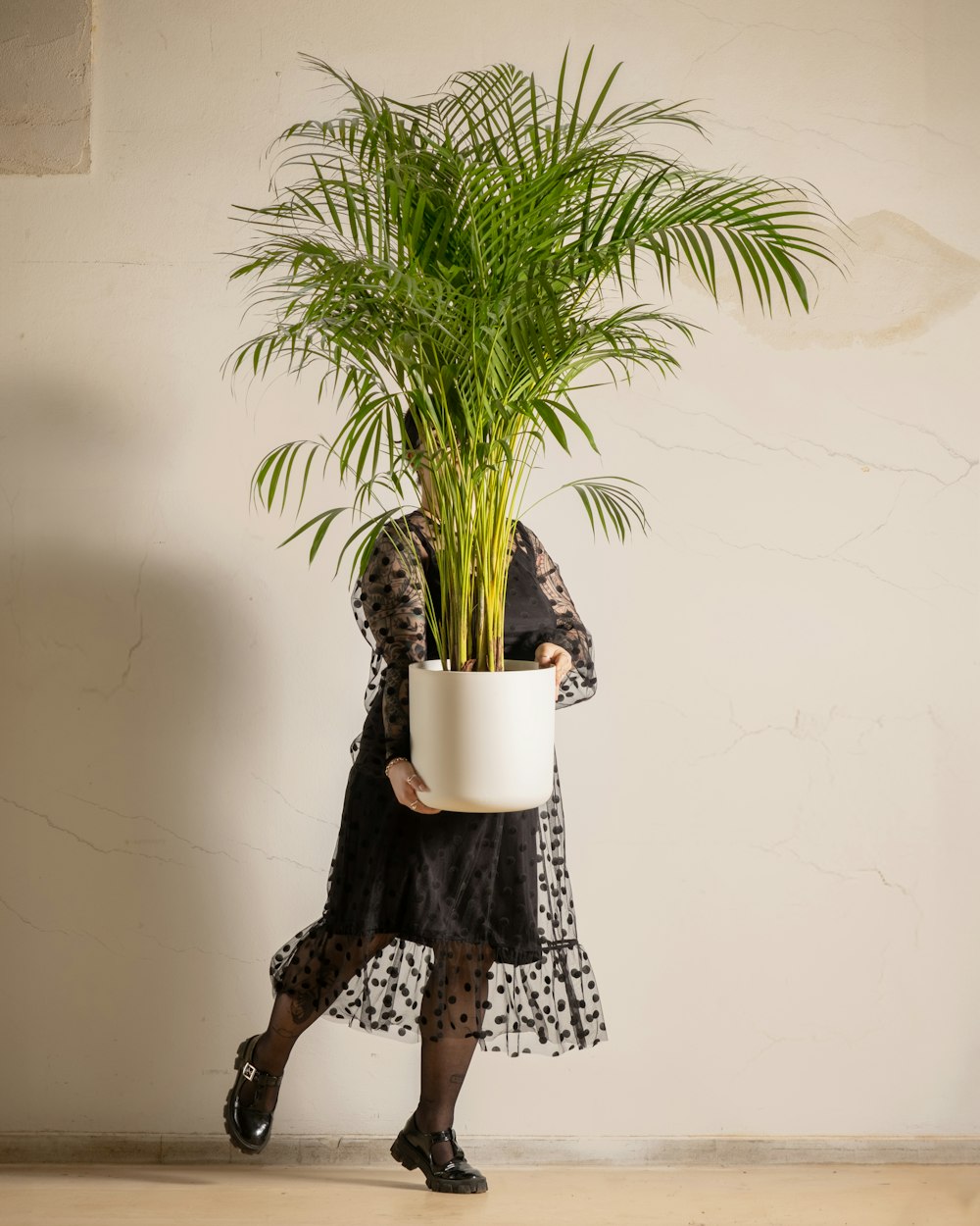 a woman holding a potted plant in her hands