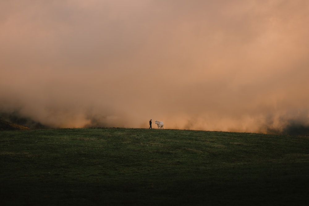 a person standing on top of a grass covered hill