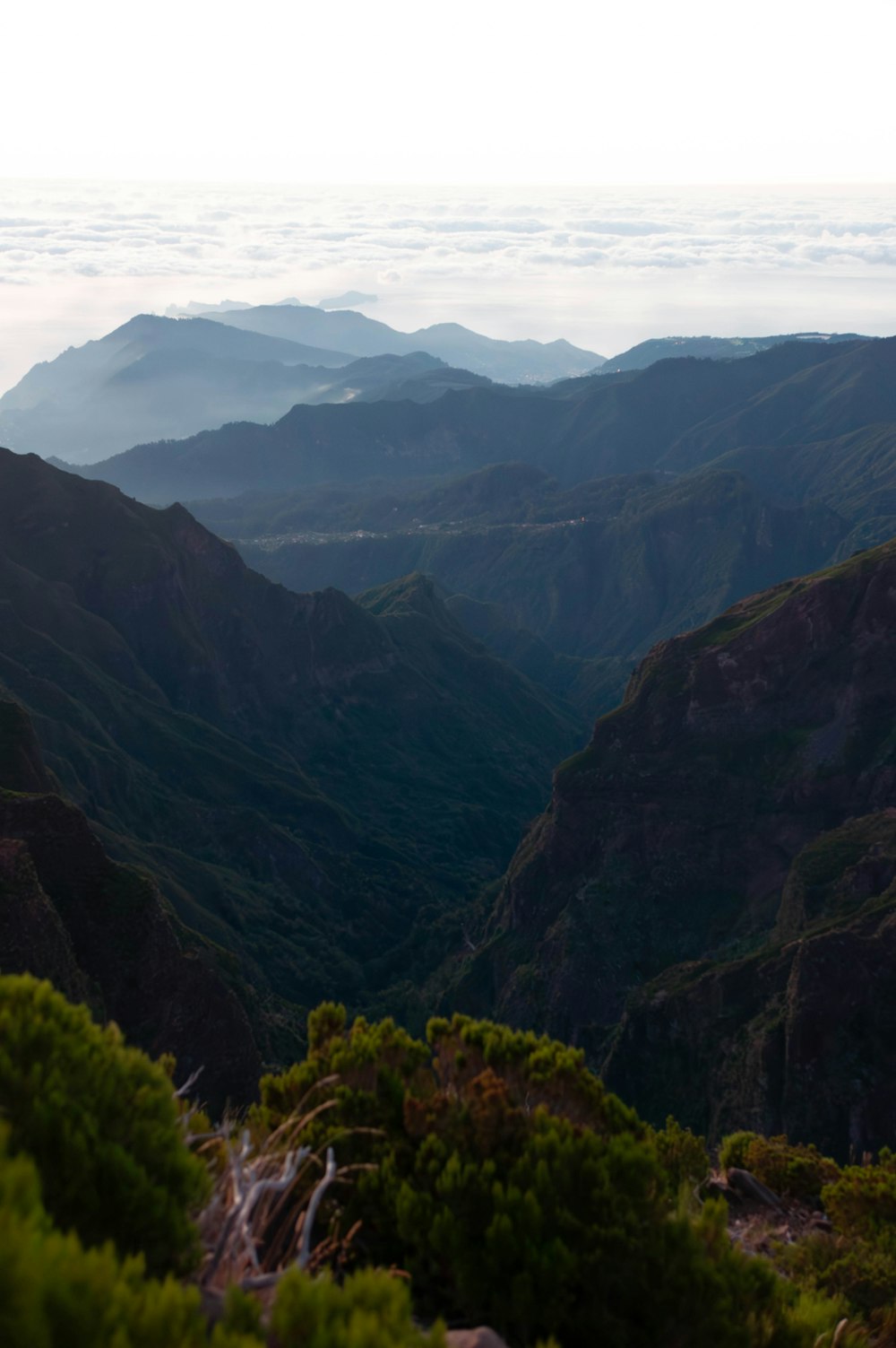 a view of a valley with mountains in the background