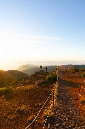 A scenic landscape with a cobblestone path leading to a viewpoint. Several people are standing on the platform, overlooking a vast expanse of rolling hills and valleys. Sunlight casts a warm glow over the landscape, highlighting the greenery and rocky terrain.