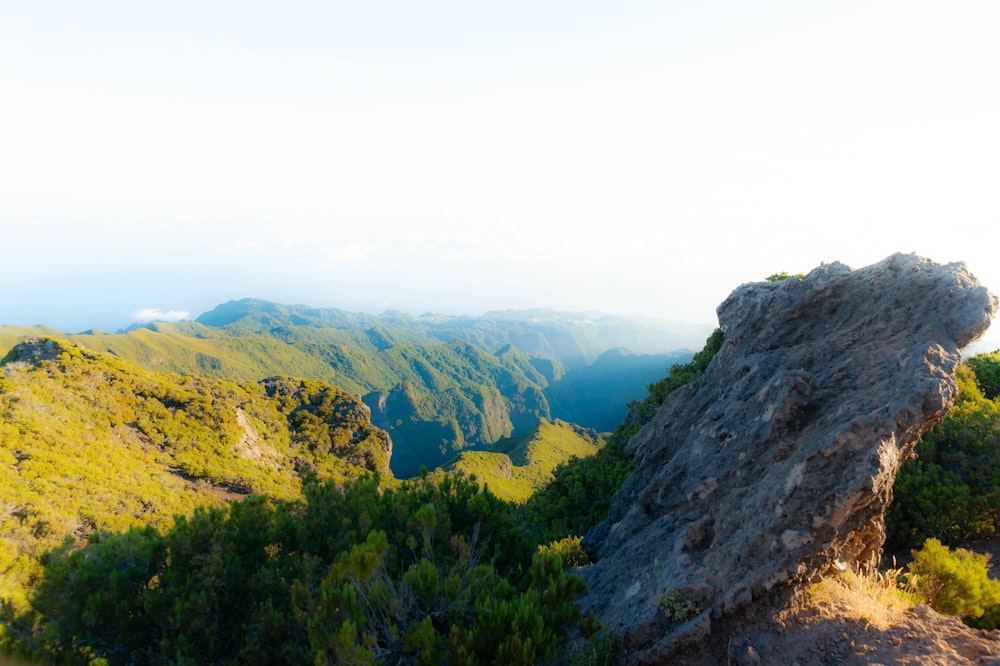 a rocky outcropping with trees and mountains in the background