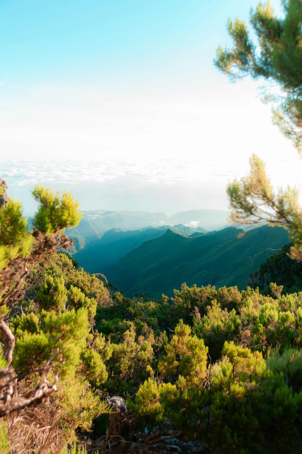 a view of the mountains from a high point of view