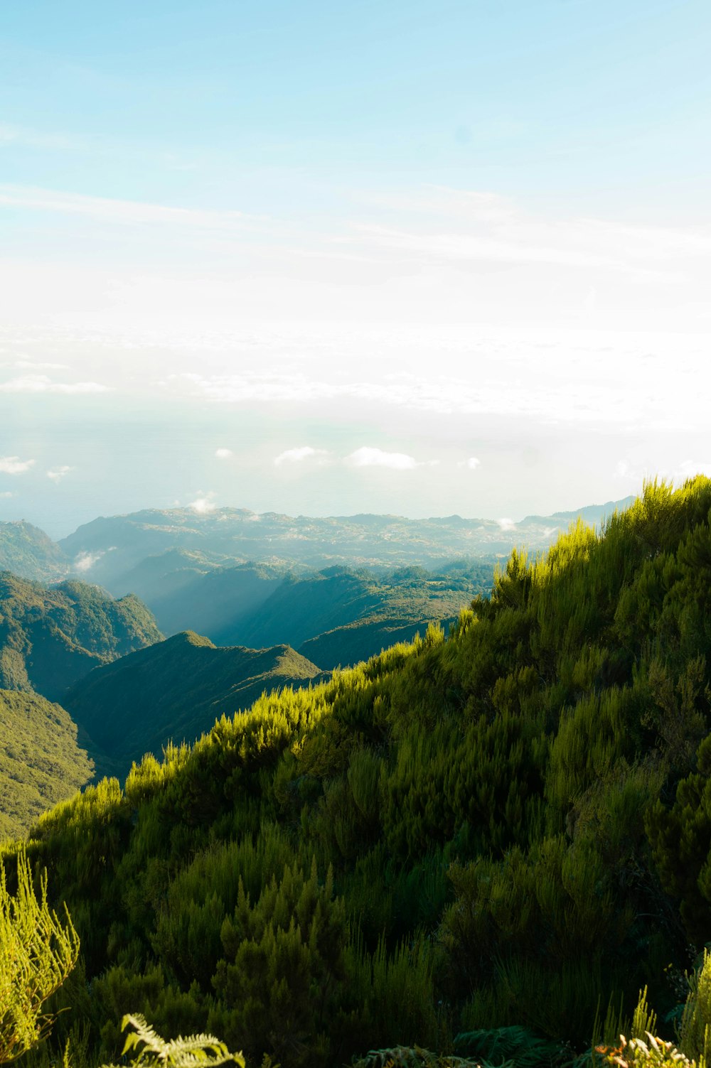 a view of a lush green hillside with mountains in the background