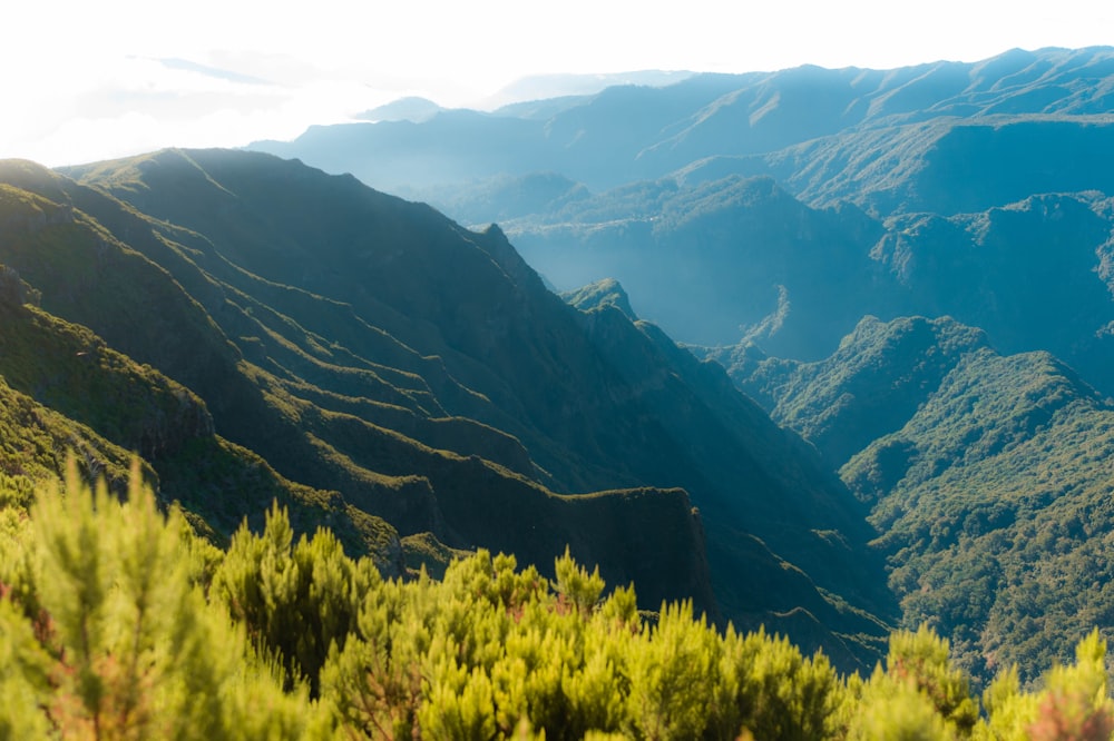 a view of a mountain range with trees and mountains in the background