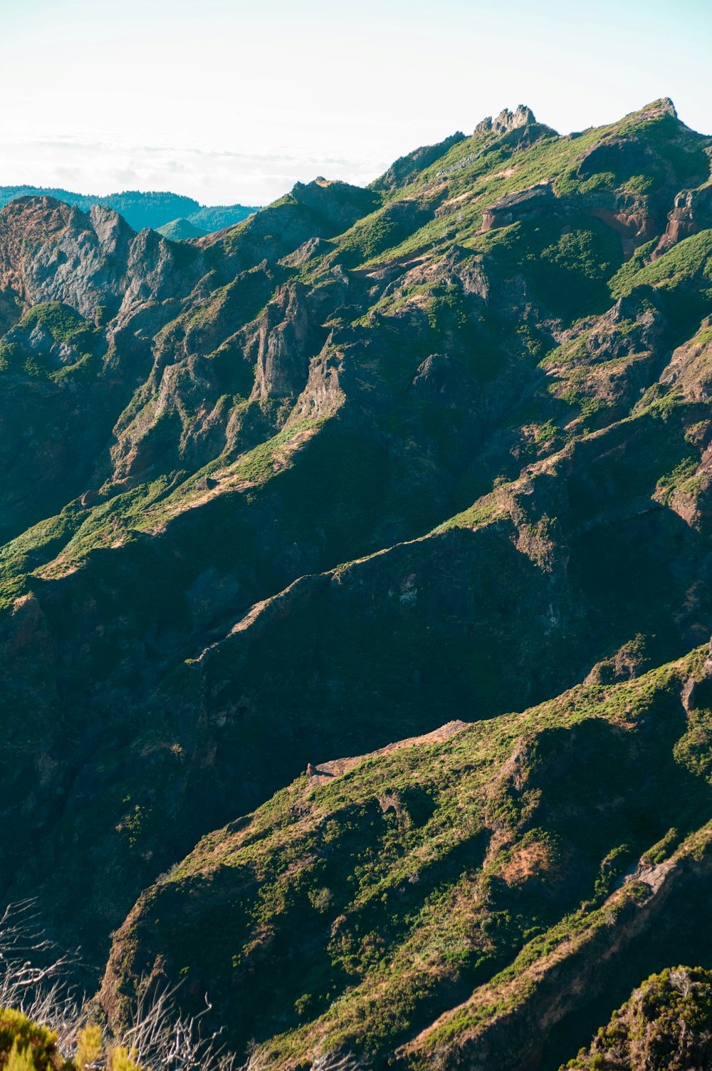 a view of a mountain range with green grass