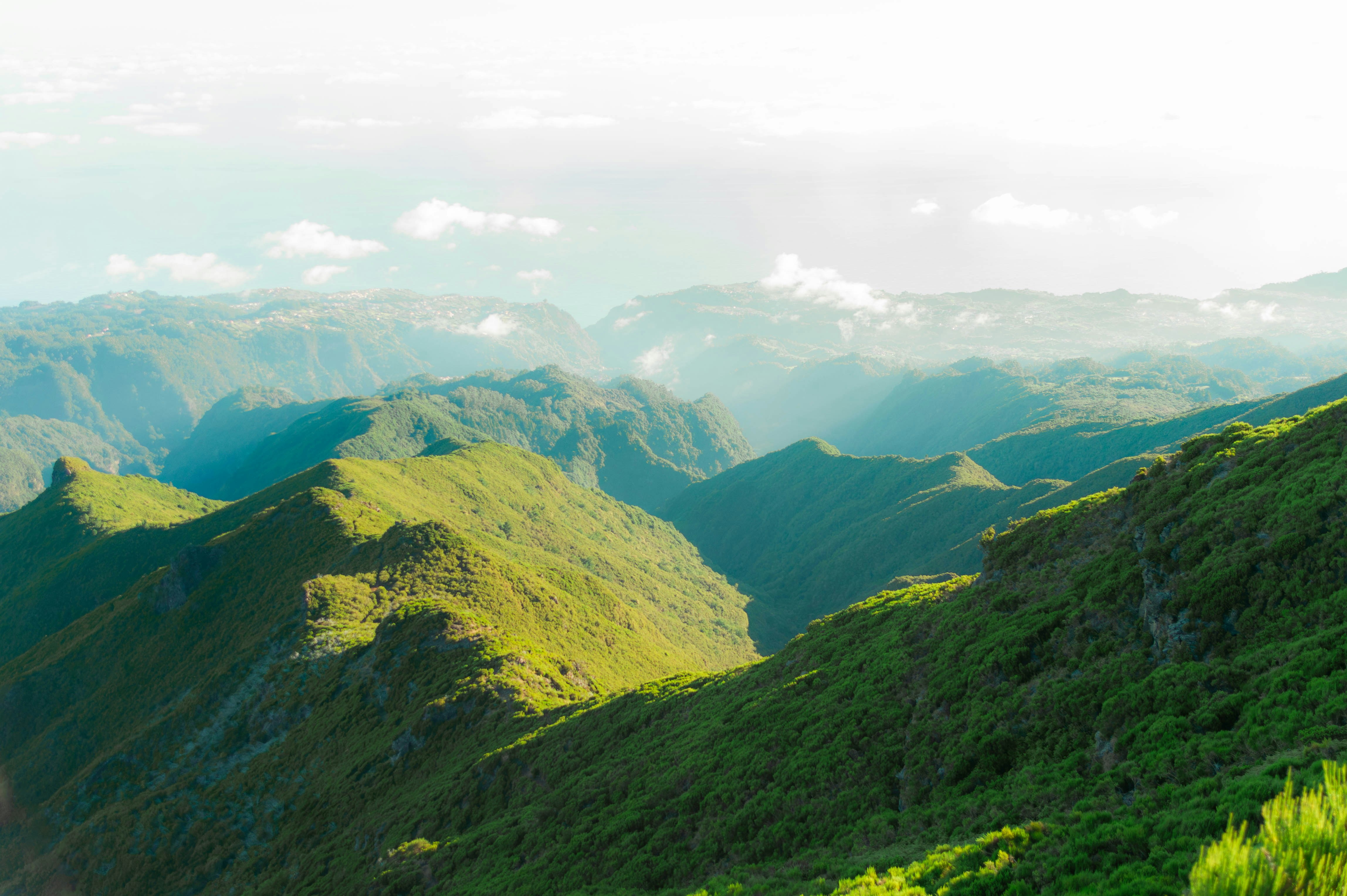 Photo by geikeverniers