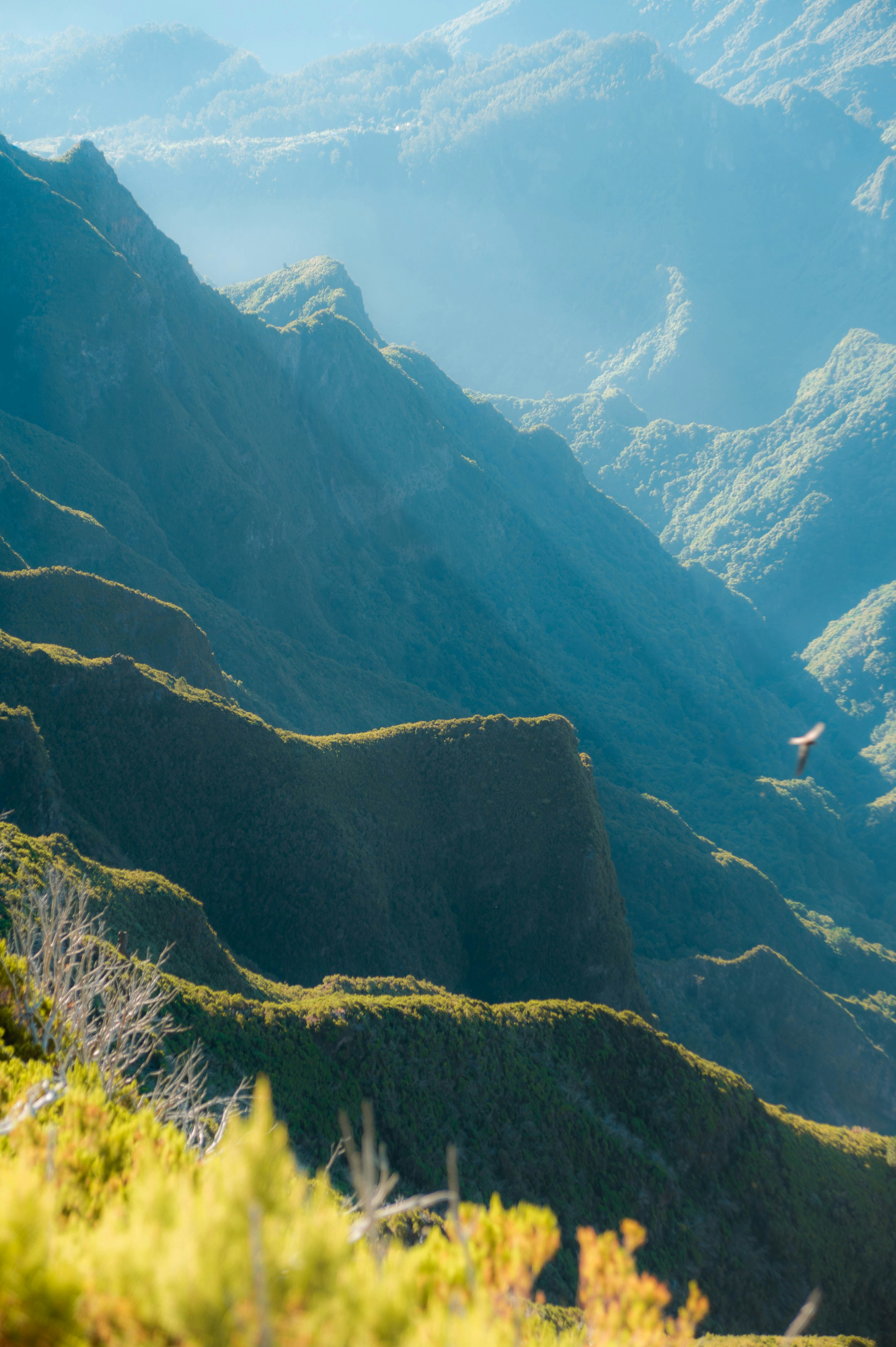 Photo by geikeverniers