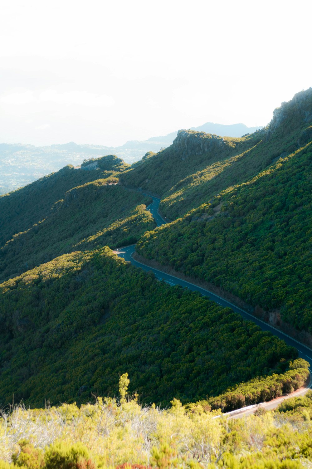 a winding road winding through a lush green valley