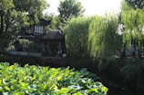 The lush greenery and classic pavilions of Shanghai’s 16th-century Yuyuan Garden.