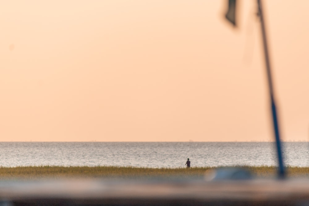 a person standing on a beach near the ocean