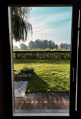 Wide view of a lush green yard with neatly trimmed hedges.