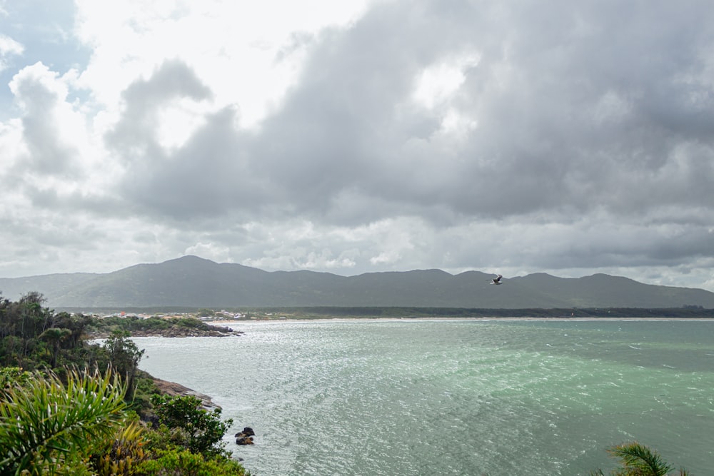 a large body of water surrounded by lush green trees