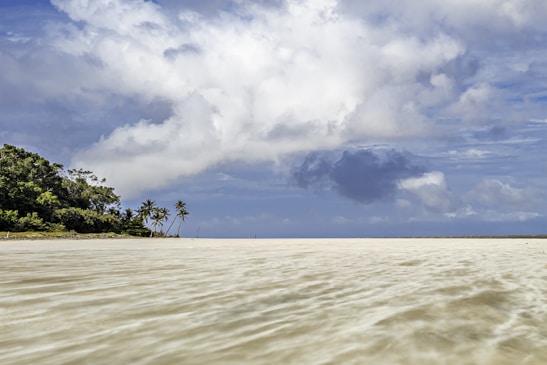 a large body of water with trees in the background