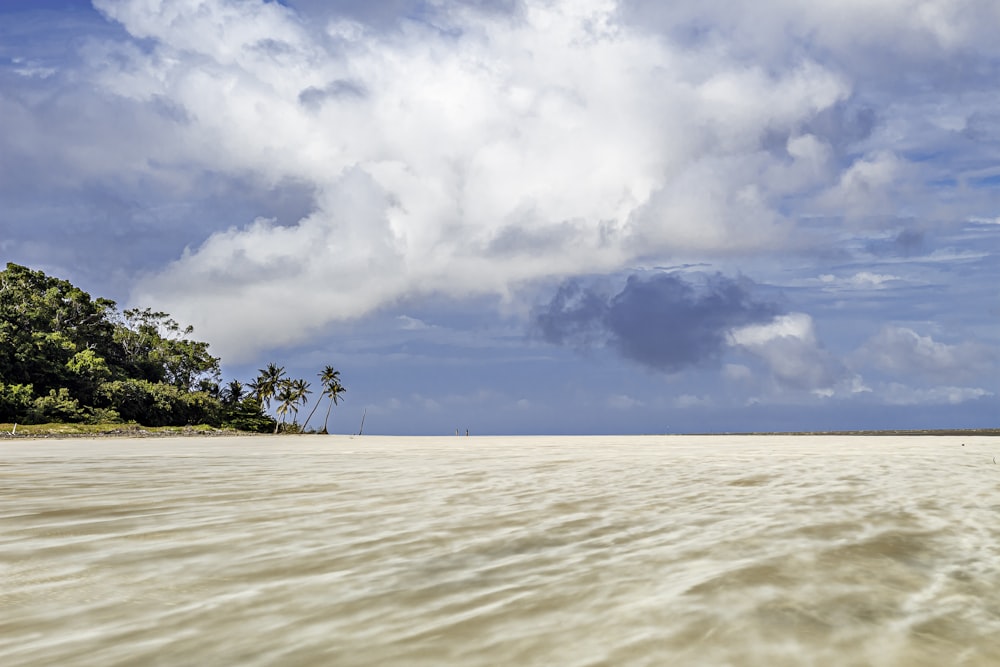 a large body of water with trees in the background