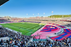 A large outdoor soccer stadium filled with spectators. The field is green and well-maintained, with players visible at the center. Surrounding the field are stands packed with people, some of whom are wearing colorful clothing. The stadium features vibrant and prominent red, blue, and maroon banners, with a crest visible on one of them. The sky is clear, indicating a sunny day. Floodlights and a backdrop of trees are visible.