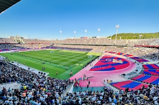 A large outdoor soccer stadium filled with spectators. The field is green and well-maintained, with players visible at the center. Surrounding the field are stands packed with people, some of whom are wearing colorful clothing. The stadium features vibrant and prominent red, blue, and maroon banners, with a crest visible on one of them. The sky is clear, indicating a sunny day. Floodlights and a backdrop of trees are visible.