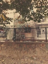 A residential building with a wire fence in front, partially covered by dense foliage and vines. The stone wall at the bottom is weathered, and there are dry leaves scattered on the ground. The image has a vintage or sepia filter, giving it a nostalgic feel.