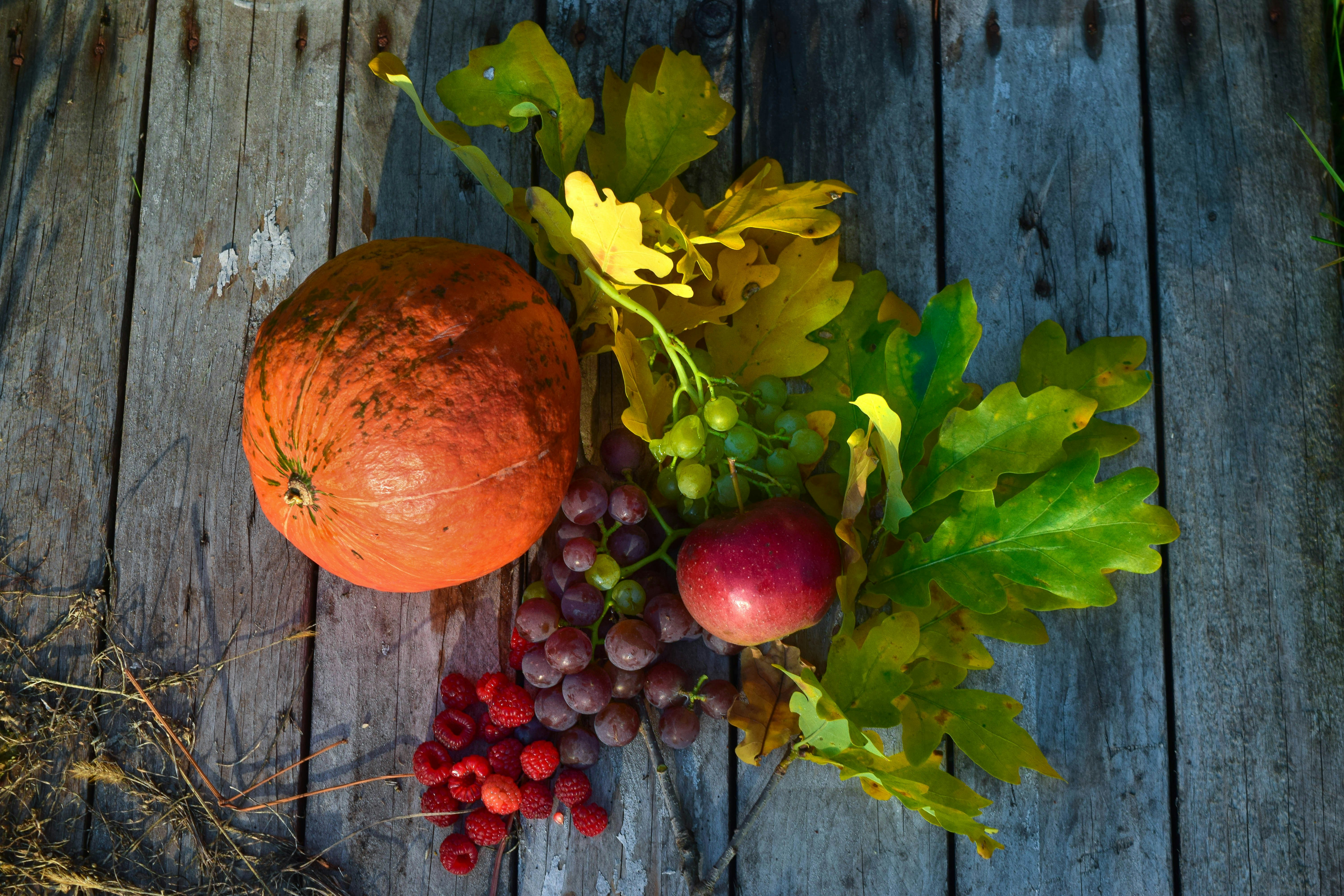 What Happens If You Ignore Proven Seasonal Allergies Tips This Season?