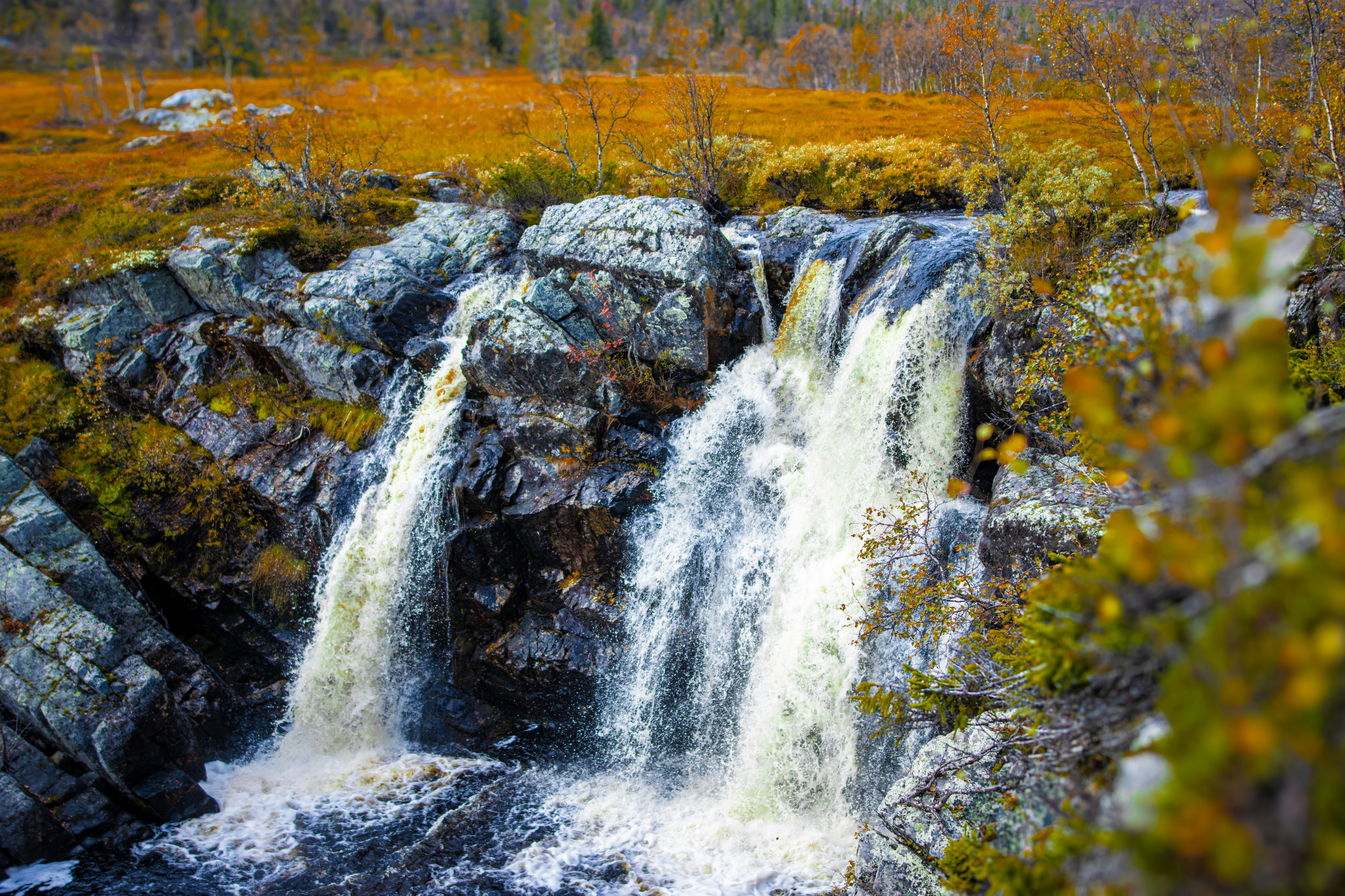 Photo by lassenystedtfoto