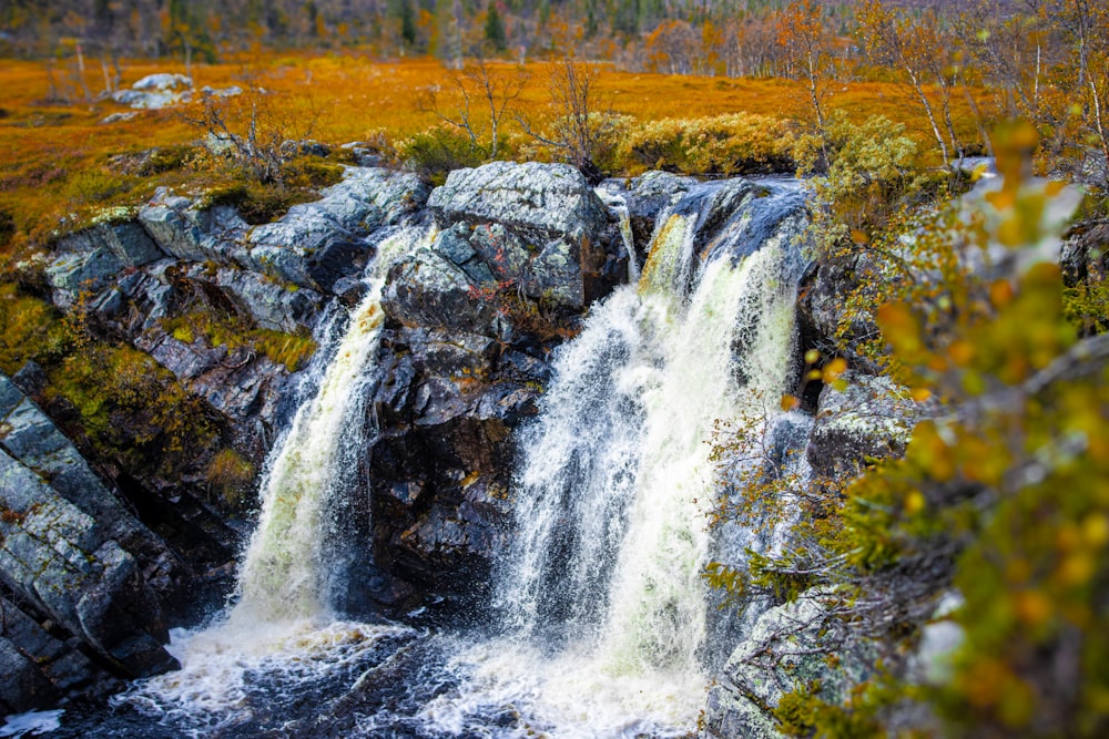 a waterfall in the middle of a grassy area