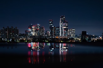 a city skyline is lit up at night