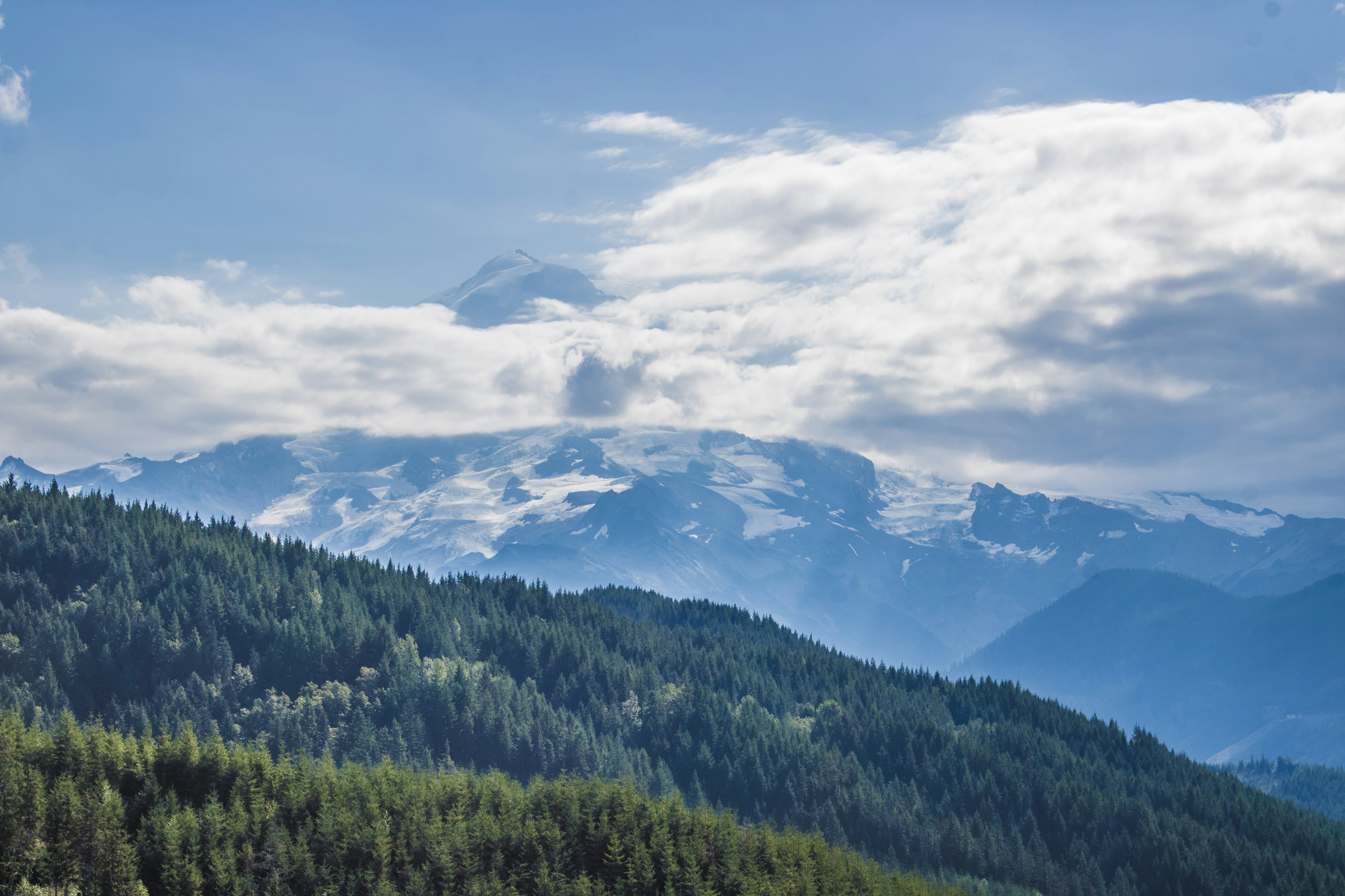 Photo by prphotography262