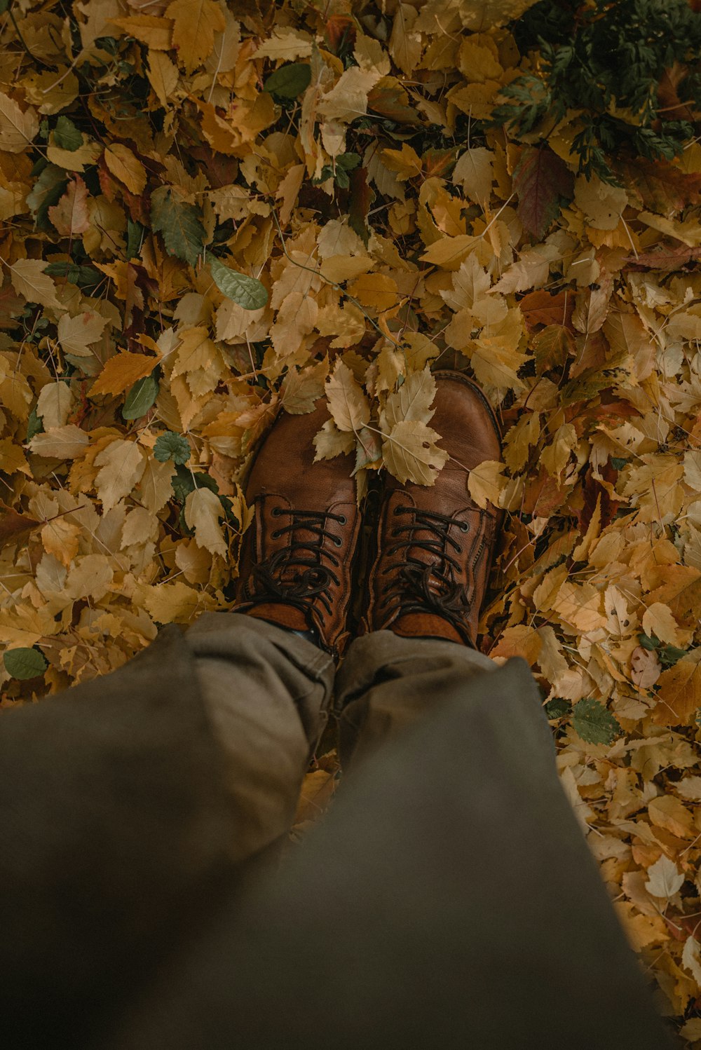 a person standing in a pile of leaves