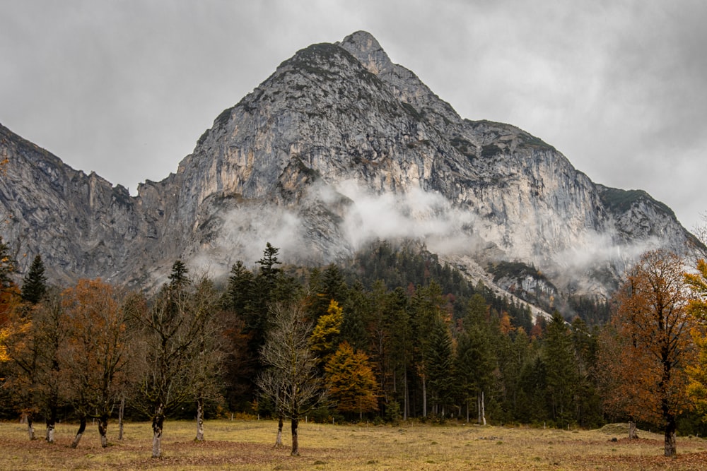 a mountain range with trees in the foreground and clouds in the background