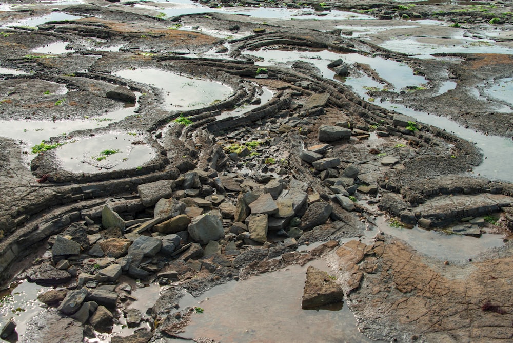 Un mucchio di rocce sedute sulla cima di una spiaggia sabbiosa