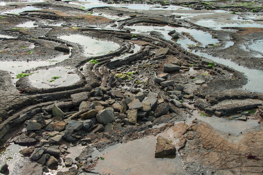 Un montón de rocas sentadas en la cima de una playa de arena