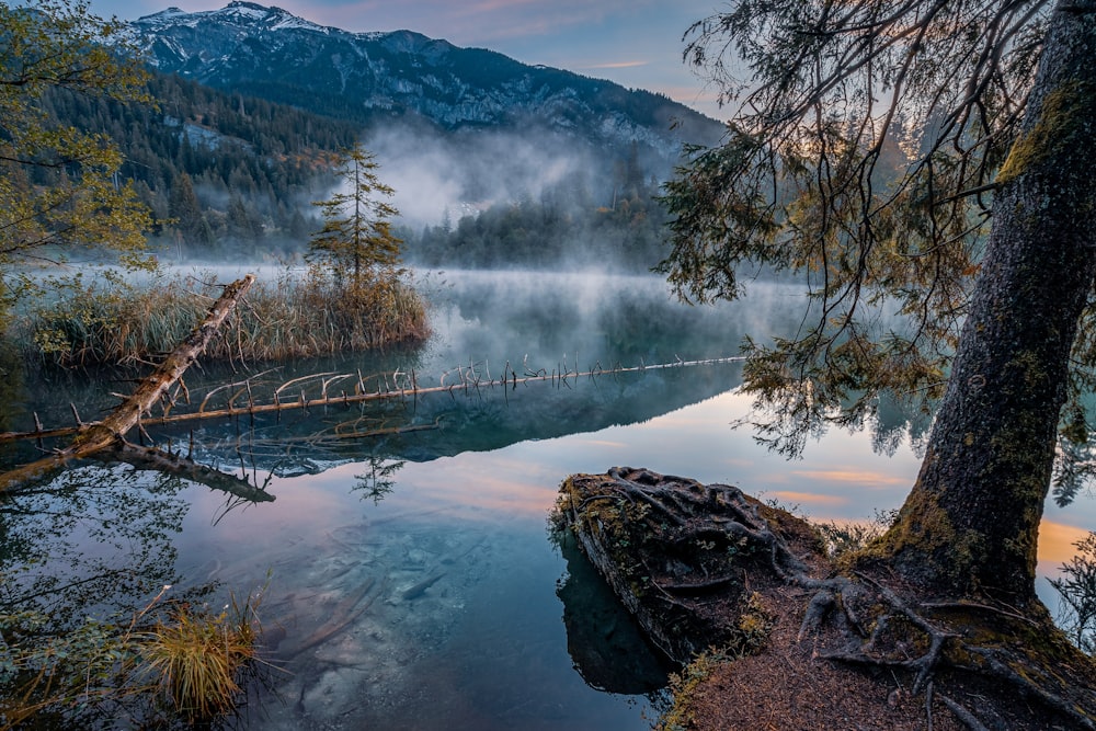 a body of water surrounded by trees and mountains