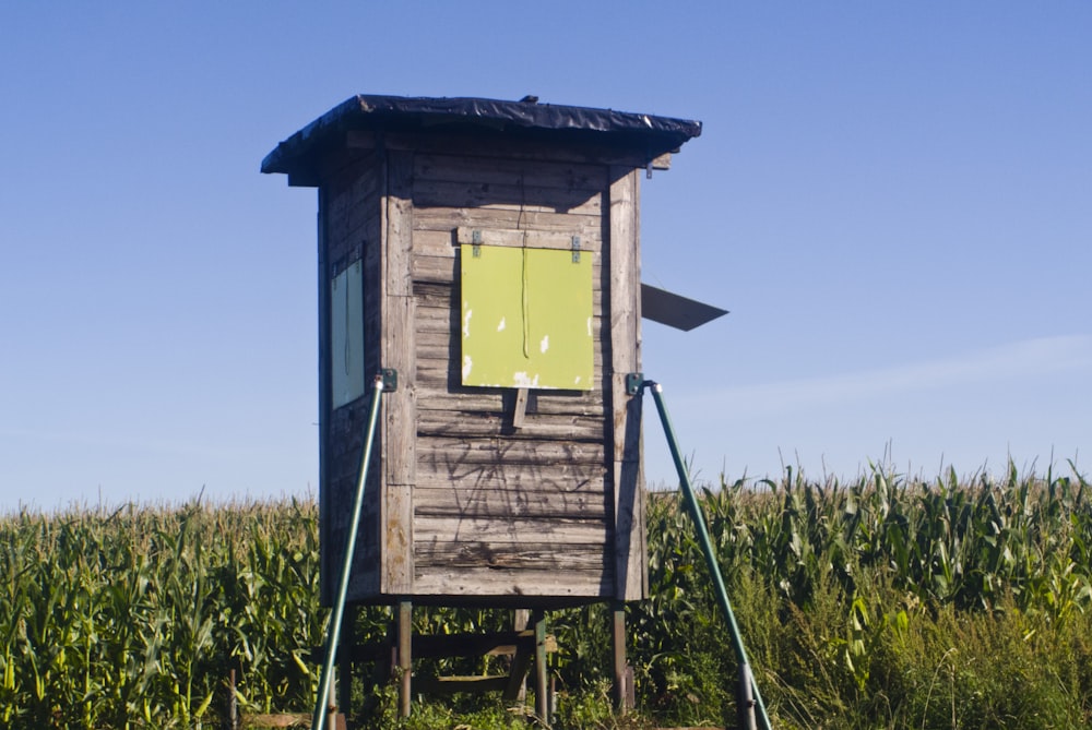 a wooden outhouse in a field of corn