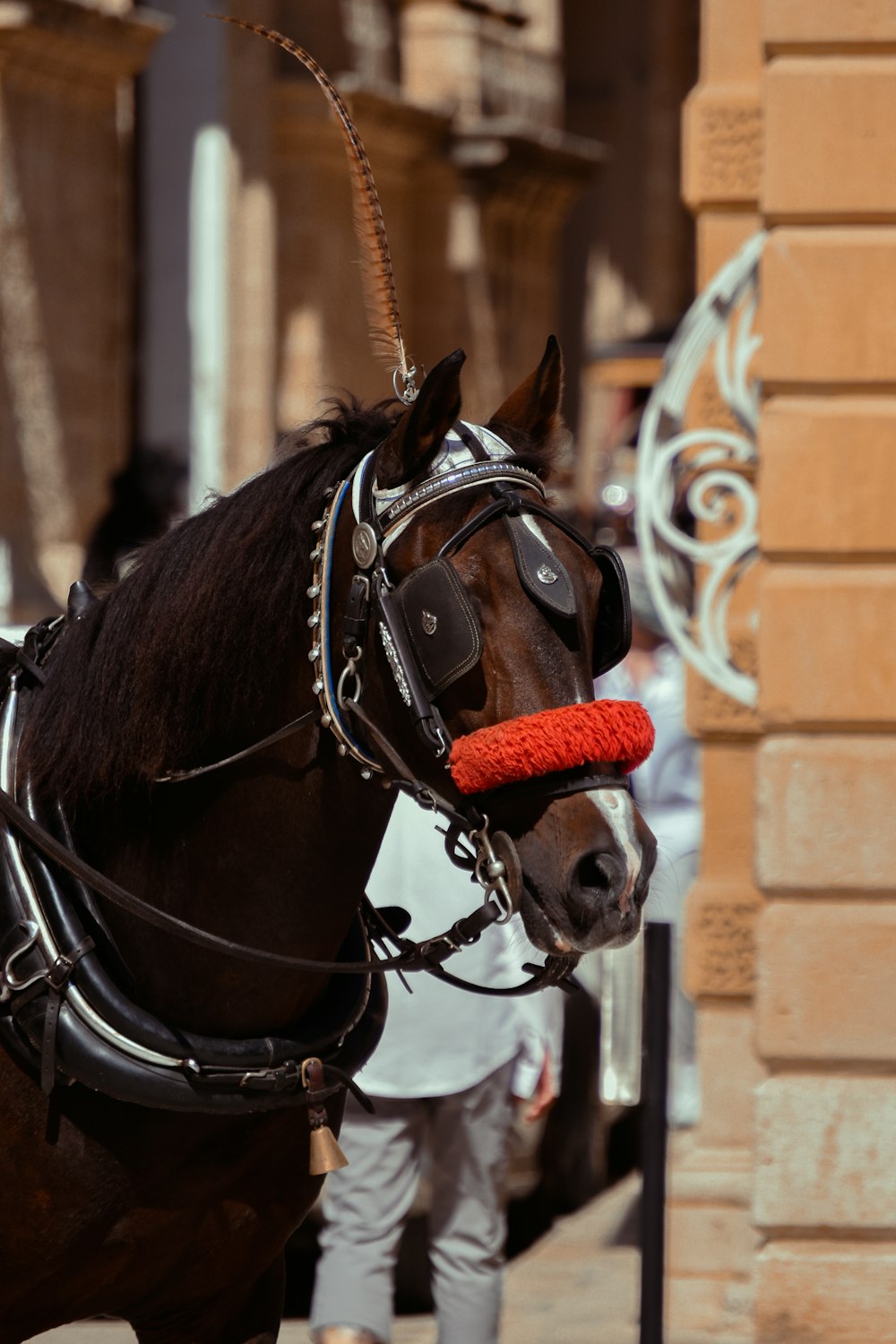 a brown horse with a red hat on its head