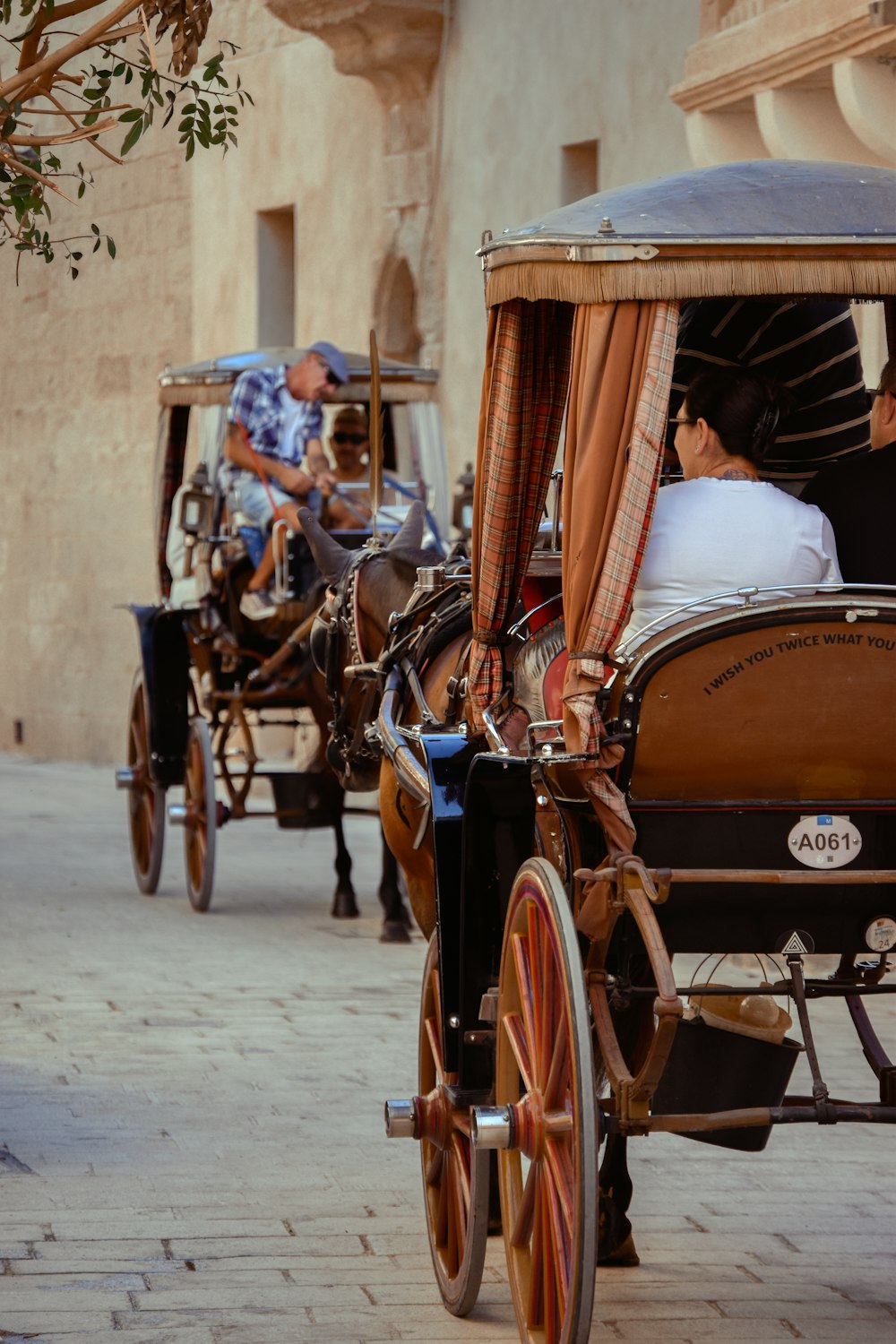 a horse drawn carriage on a city street