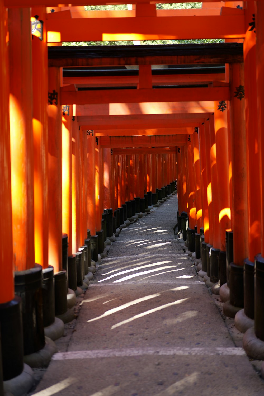 a long line of orange pillars with trees in the background