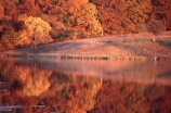 A serene landscape showcasing vibrant autumn foliage.