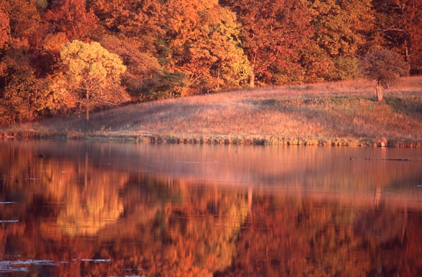 A serene landscape showcasing vibrant autumn foliage.