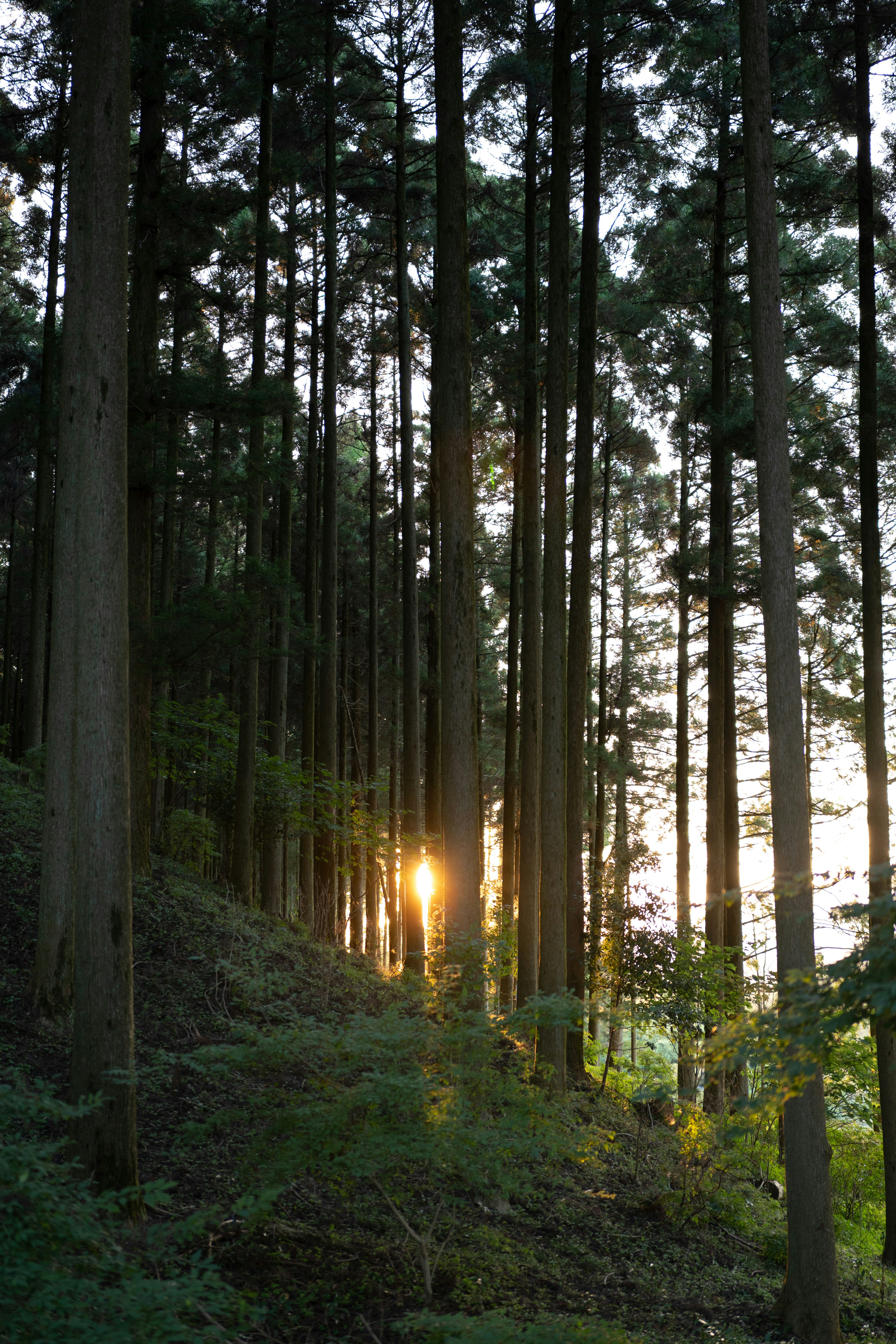 Photo by haydenlllam