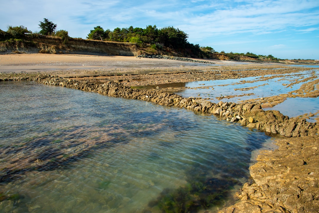 How Grit Trap Cleaning Is Key to Environmental Compliance