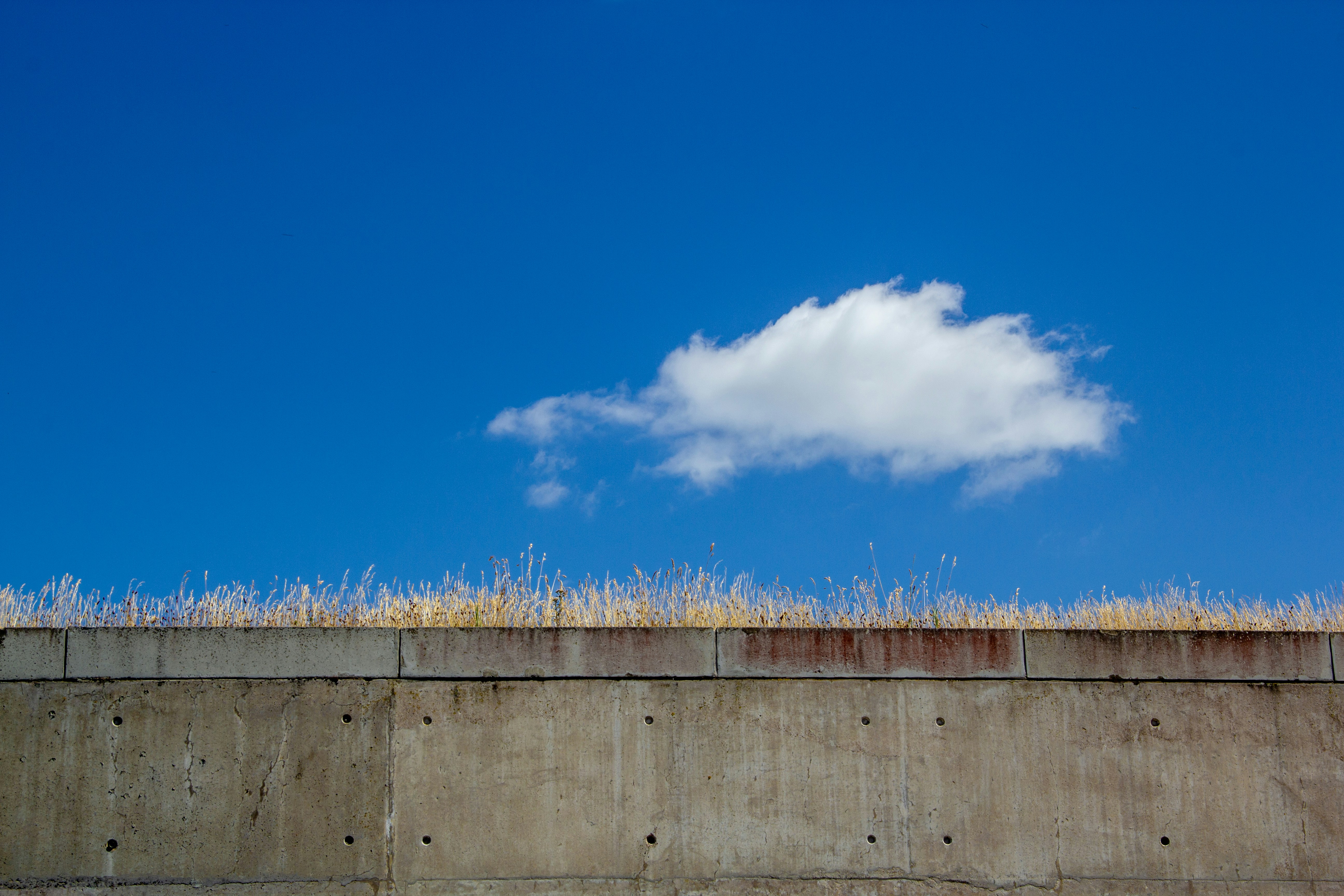 Photo by bahar_ghiasi