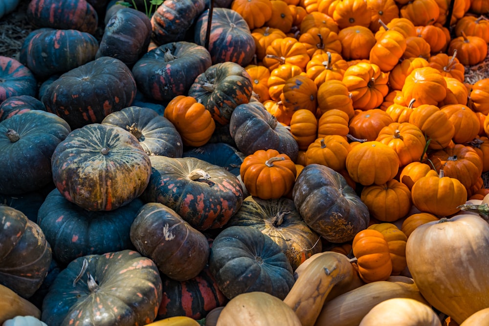 a display of pumpkins and squash for sale