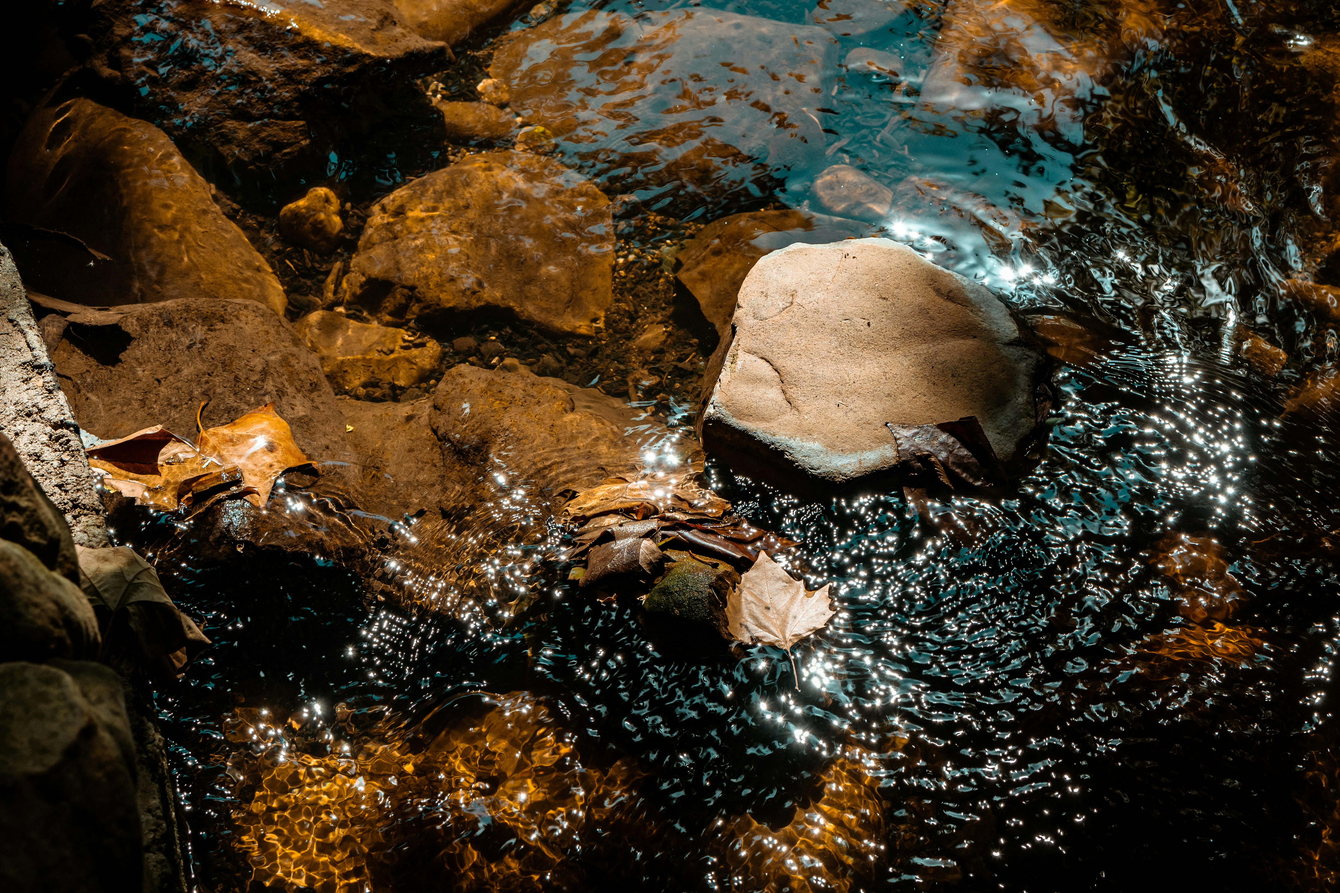 East Dallas Community Guide