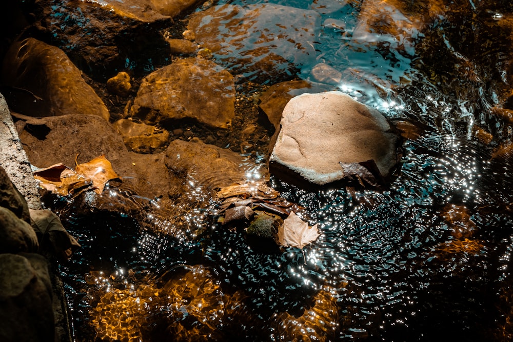 a rock in the water near some rocks