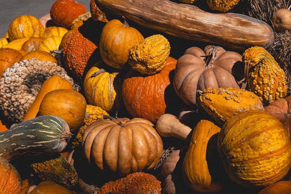 un montón de calabazas y calabazas sentadas una al lado de la otra