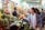 A bustling market scene with vibrant produce and goods on display. Shoppers, including a woman engaging with a vendor, convey a lively atmosphere. Stalls are filled with green vegetables, fruits, and various packages, under bright overhead lights.