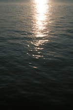 A serene view of the Taj Mahal at sunrise with soft golden light reflecting on the water.