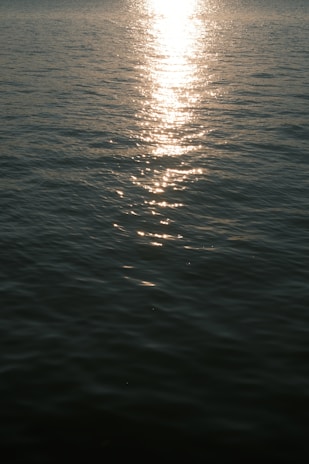A serene view of the Taj Mahal at sunrise with soft golden light reflecting on the water.
